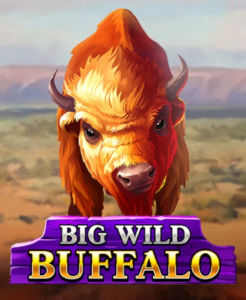 Play Big Wild Buffalo at 1 Good Bet Casino